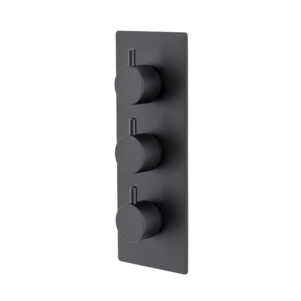 Atlantic Two Outlet Triple Control Thermostatic Shower Valve Matt Black